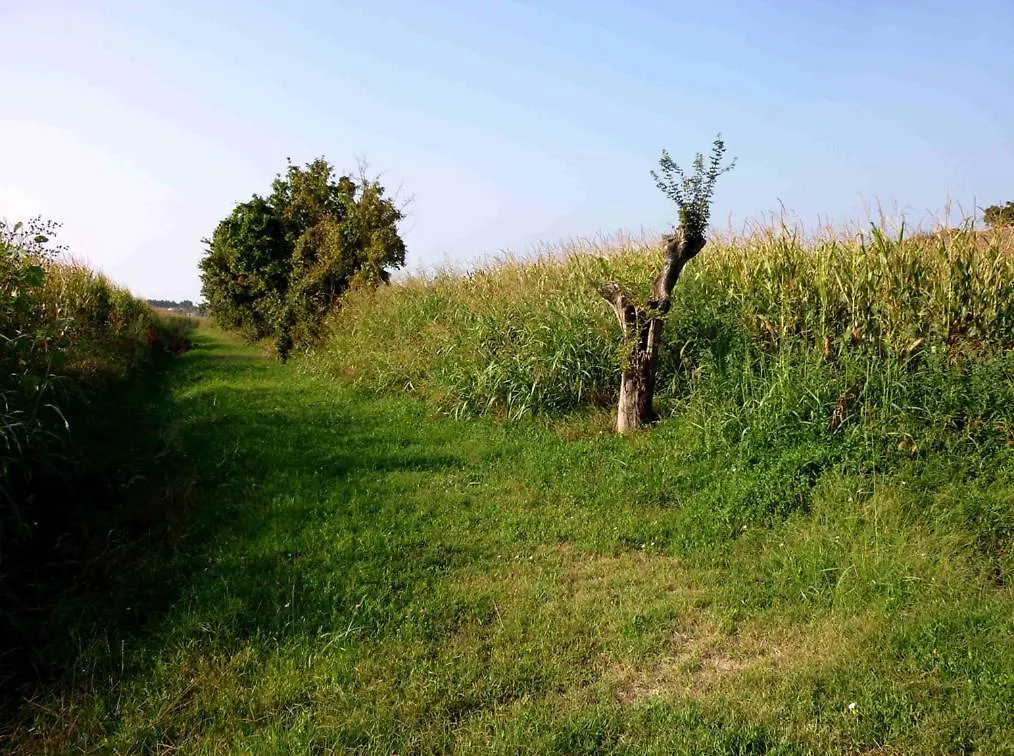 L'Ulma E L'Opi Rb Hotel Guastalla Guest house